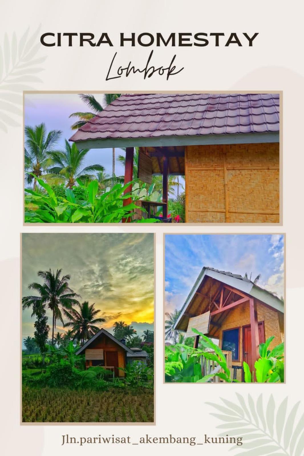 Citra Homestay تيتيباتو المظهر الخارجي الصورة