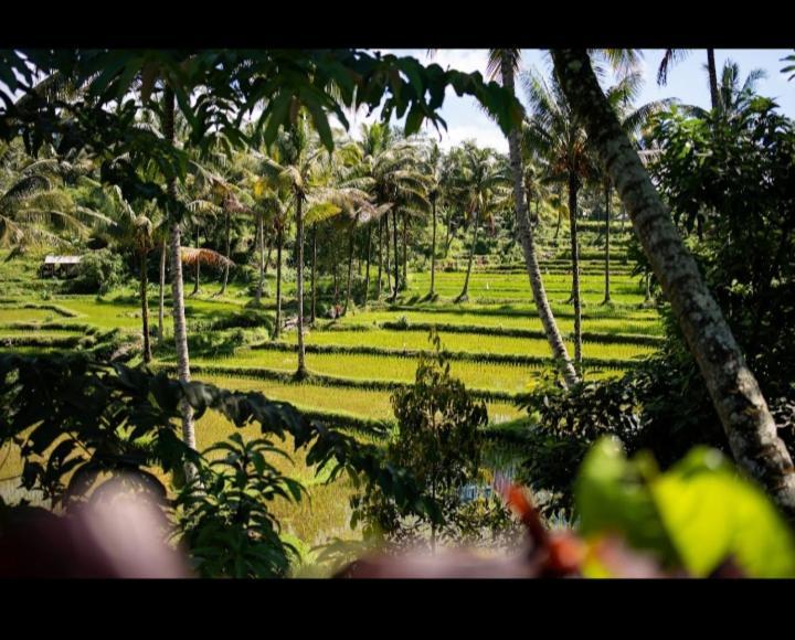 Citra Homestay تيتيباتو المظهر الخارجي الصورة